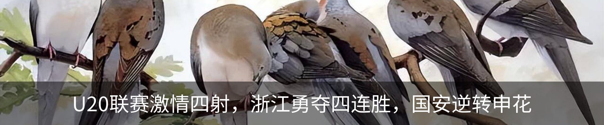 资讯动态